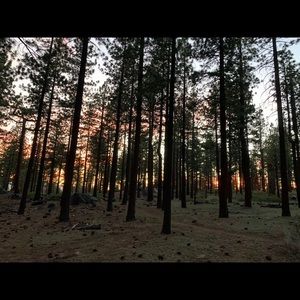 Meet your Posher, Sofia